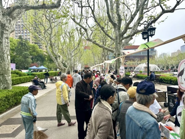 543种！上海野鸟又添8位“新成员”，去年97万只次观鸟记录创十年之最